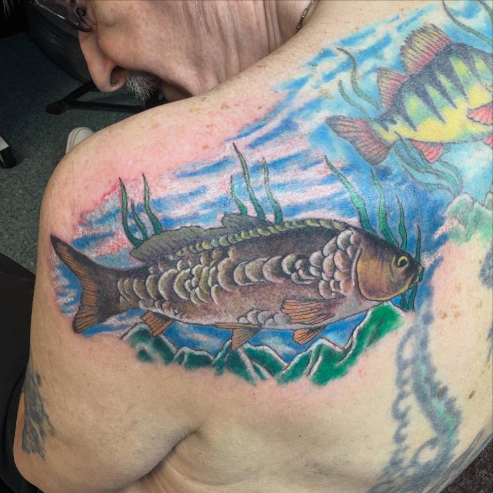 Colour carp swimming across a shoulder